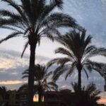 مرسى مطروح - بوتو مطروح WhatsApp Image 2026 05 08 at 11.57.39 PM