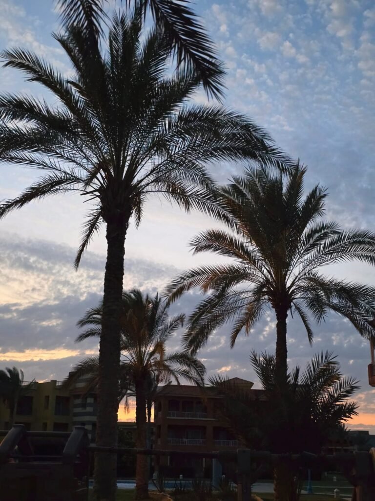 مرسى مطروح - بوتو مطروح WhatsApp Image 2026 05 08 at 11.57.39 PM