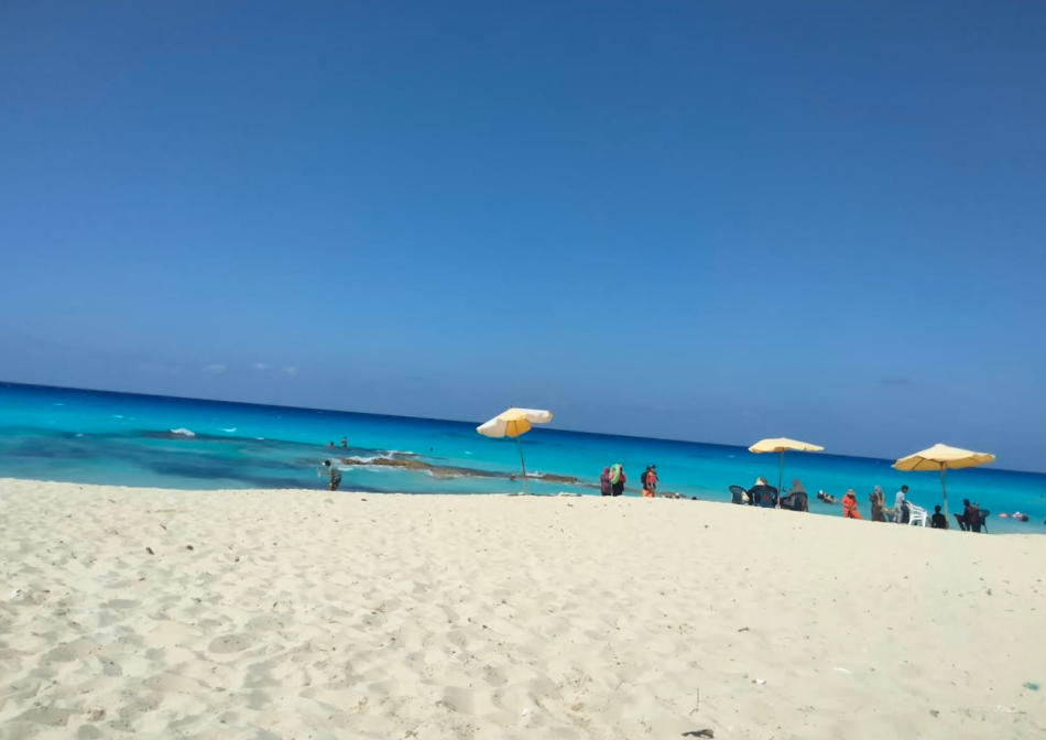 الشواطئ الساحلية